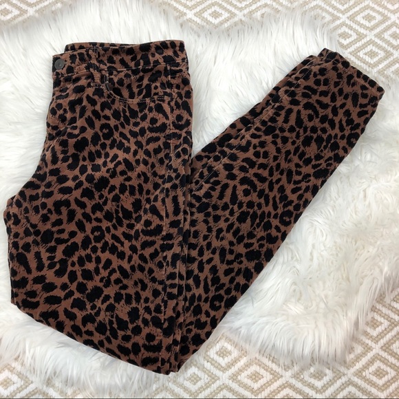 LOFT Pants - Loft Velvet Animal Print Leopard Skinny Pants 4/27